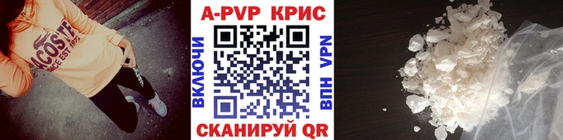 A-PVP СК  Ленинск-Кузнецкий 