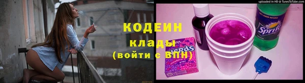трава Осинники