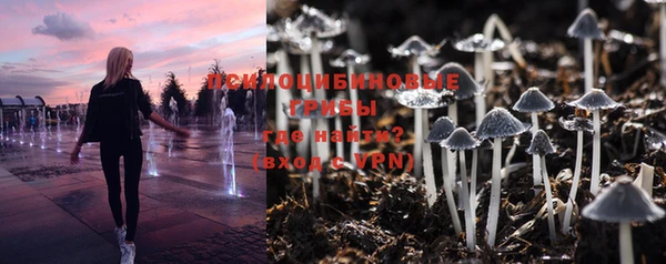 трава Осинники