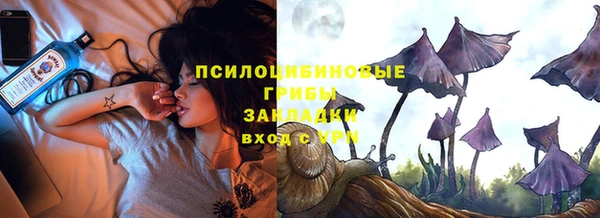 гашик Баксан