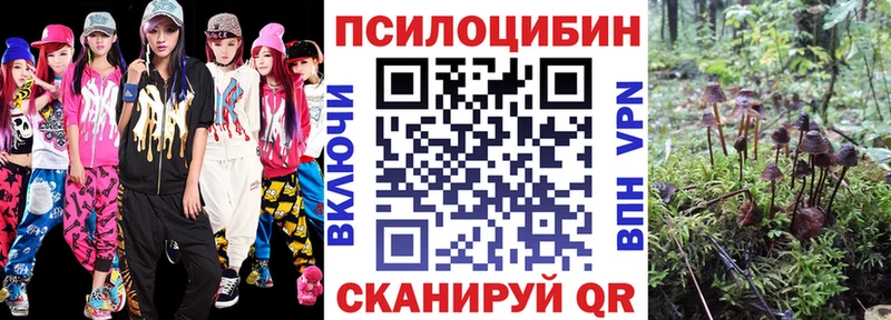 OMG сайт  Ленинск-Кузнецкий  Галлюциногенные грибы прущие грибы 