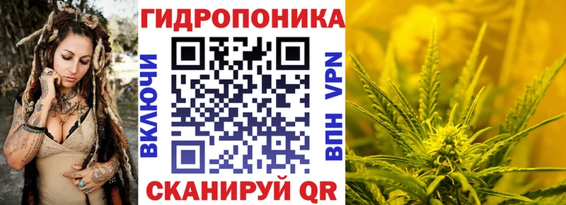 сколько стоит  Ленинск-Кузнецкий  Бошки Шишки планчик 